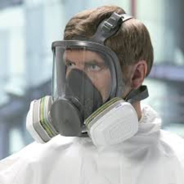 Reusable Full Face Masks Thumbnail
